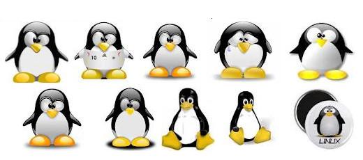 картинка пингвинов